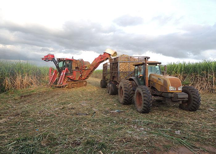 Estudo revela novo perfil da agricultura no nordeste paulista