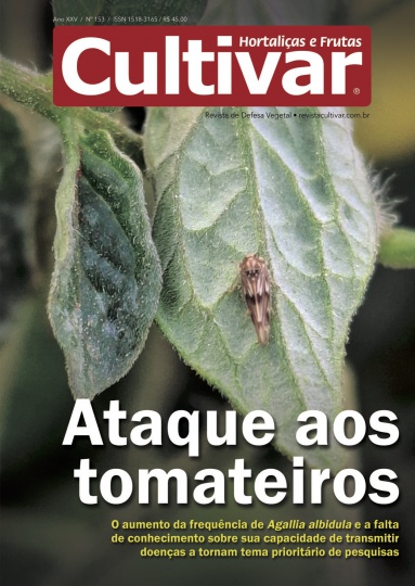 Cultivar HF 153