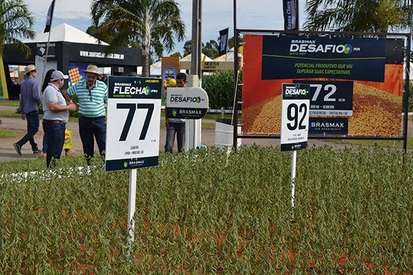 Brasmax Power e Brasmax Desafio são destaques na Agrobrasília