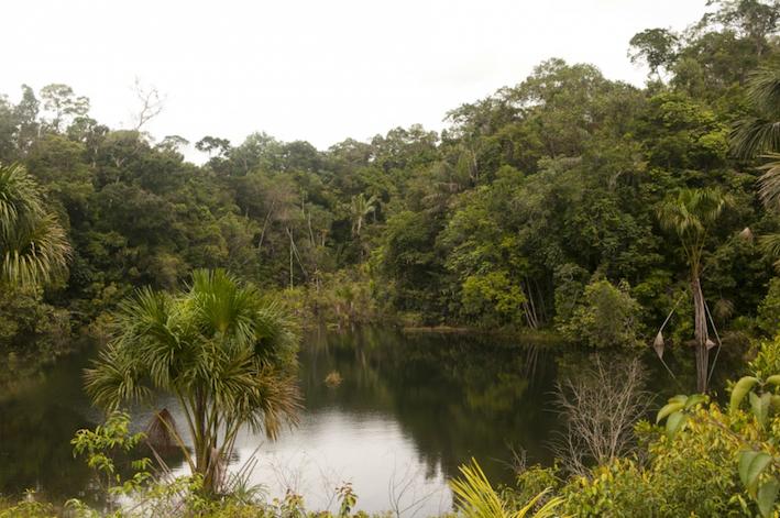Cientistas do IPBES preparam diagnóstico sobre biodiversidade brasileira