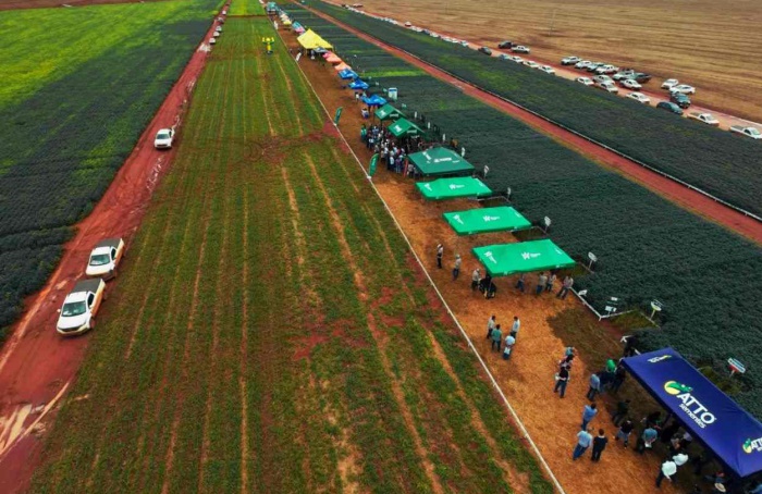 Fitossanidade da soja é destaque no 13ª PA Summit