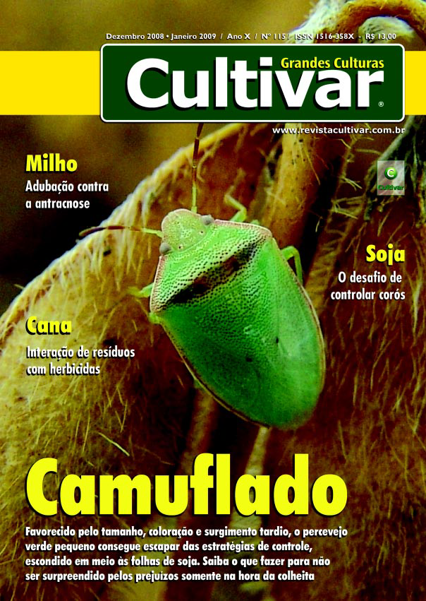 Camuflado