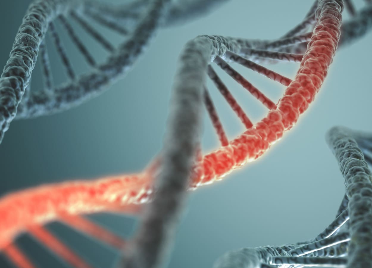 Bayer eleva proyecciones tras sólido desempeño del sector farmacéutico