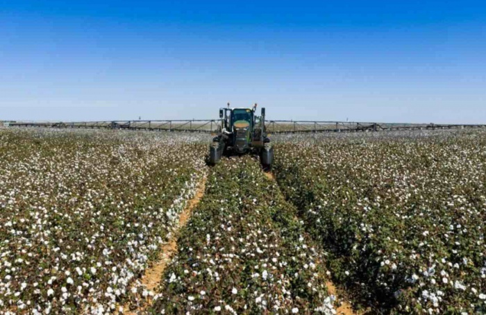 Fendt avança na automação de máquinas para o algodão