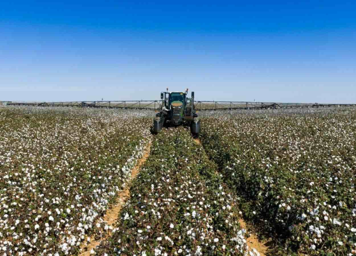 Fendt avança na automação de máquinas para o algodão