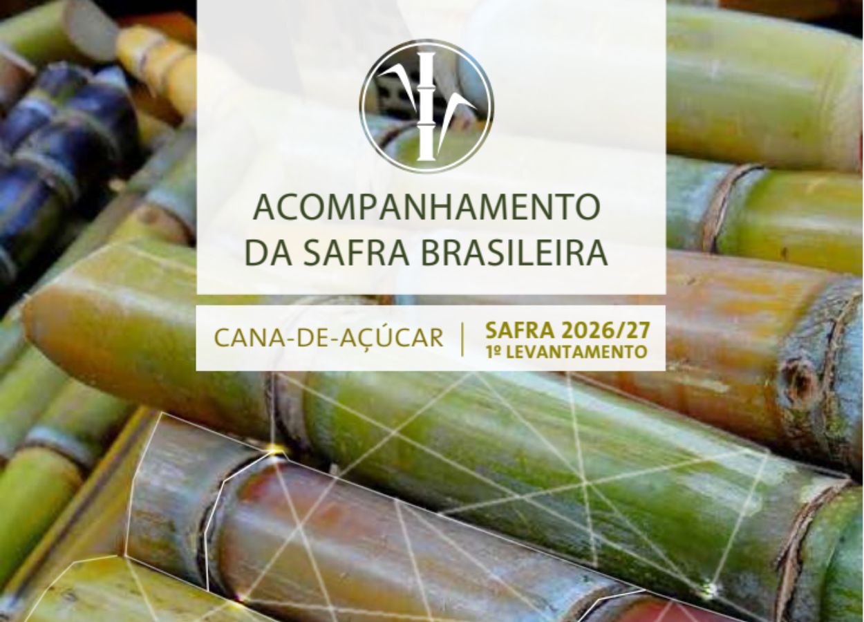 Conab eleva em 5,3% a estimativa de produção da safra de cana