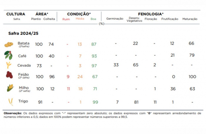 PR Safra 2024/25: chuvas afetam milho, café e feijão
