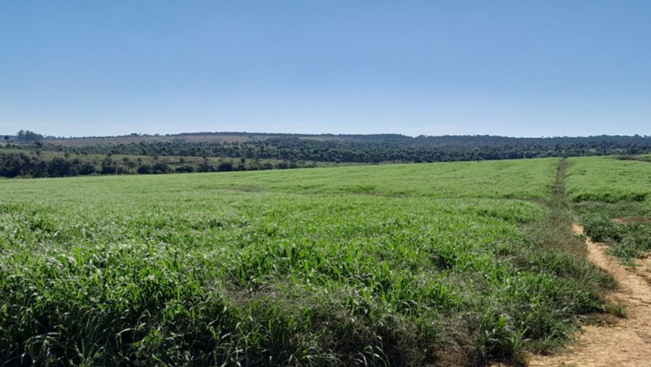 Foto: Álvaro Resende