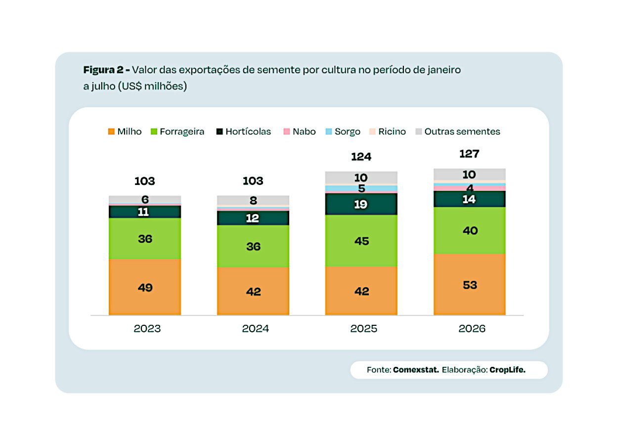 Exportações de sementes somam US$ 126,7 milhões até julho