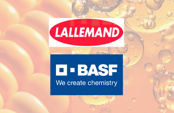 BASF vende negócio de enzimas bioenergéticas para Lallemand
