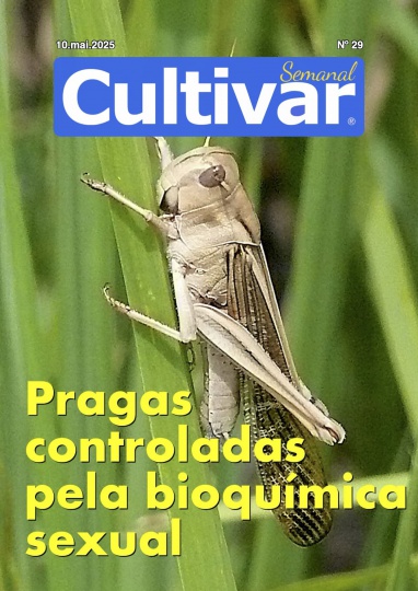 Cultivar Semanal 29