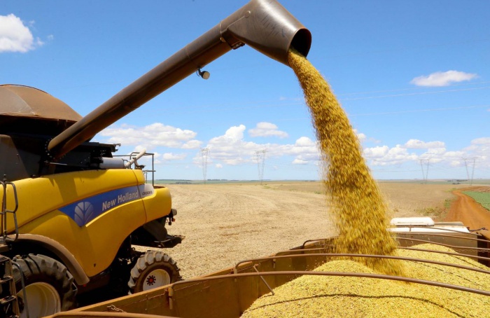 VBP do Paraná deve ultrapassar R$ 200 bilhões em 2025