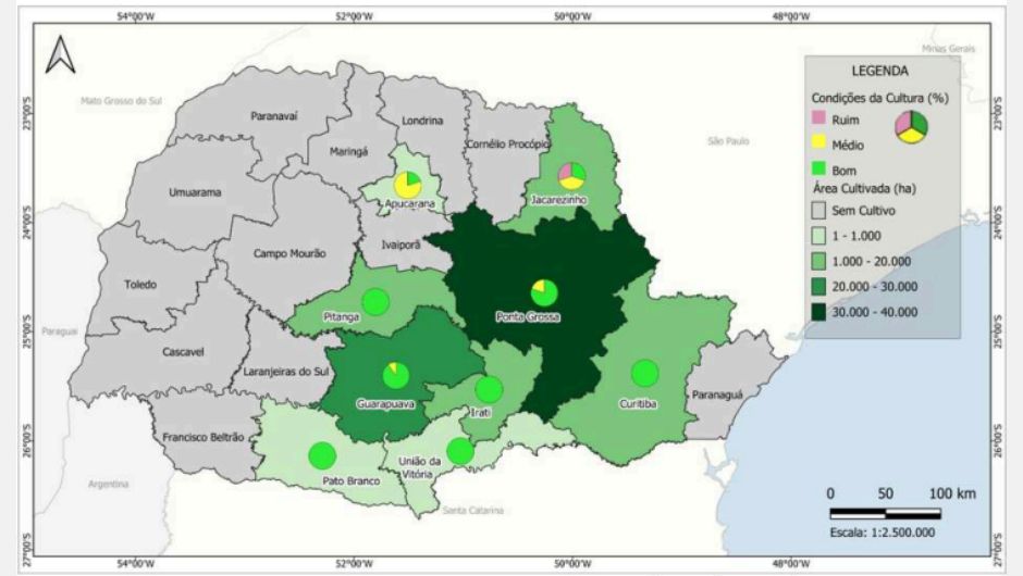 Área cultivada e condições da cevada