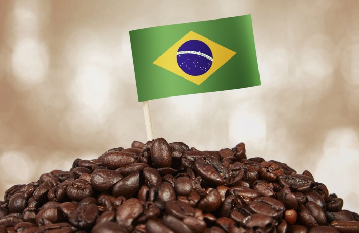 Brasil exporta recorde de 4,2 milhões de sacas de café em abril