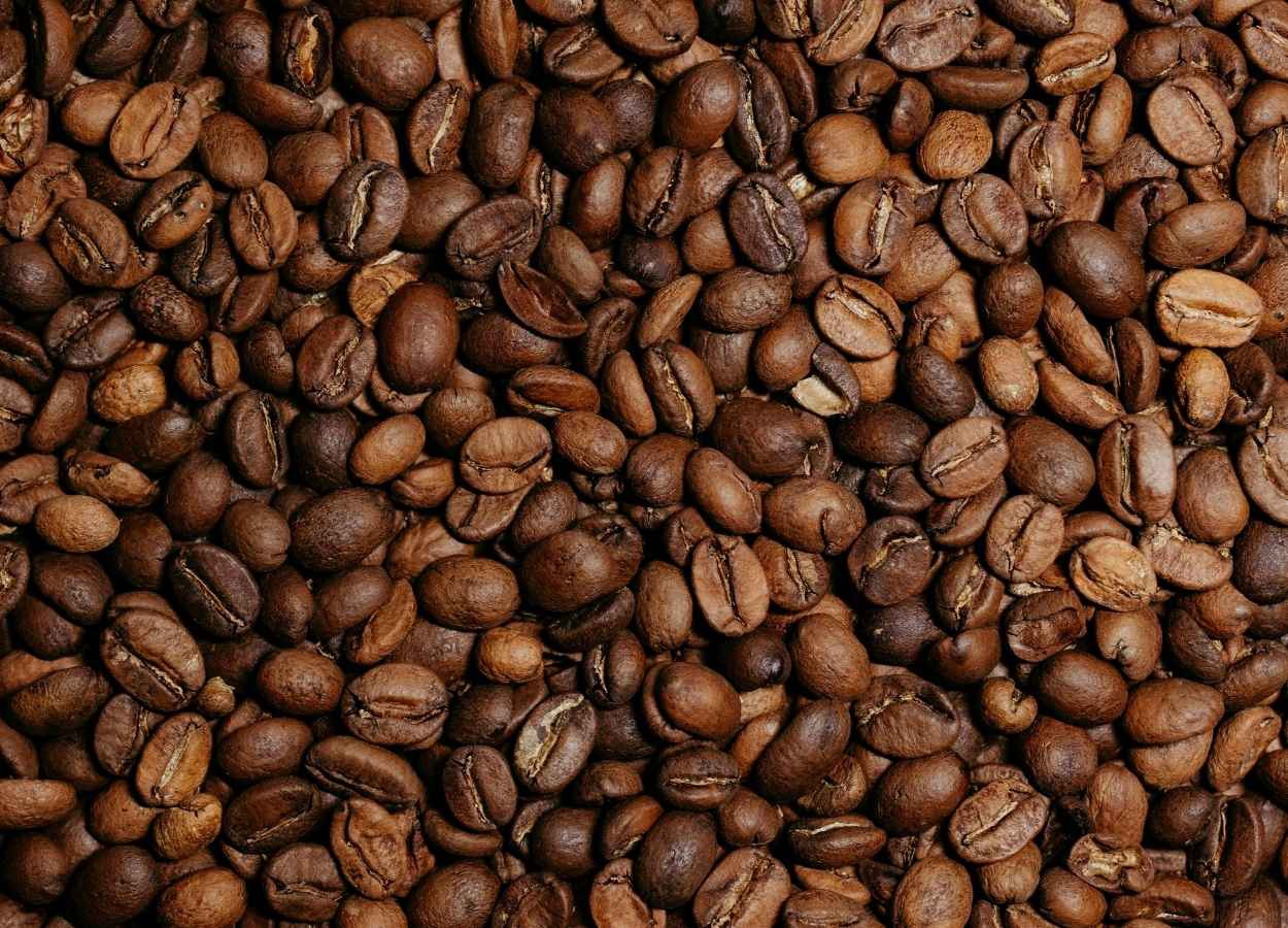 Exportação de café do Brasil cresce 3,6% ante maio de 2025