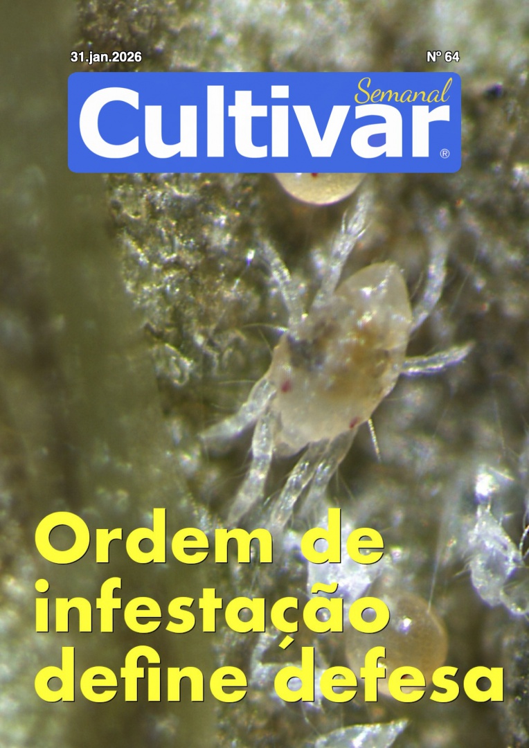 Cultivar Semanal 64