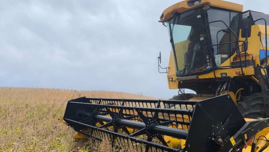 Foto: Vanessa Almeida de Moraes