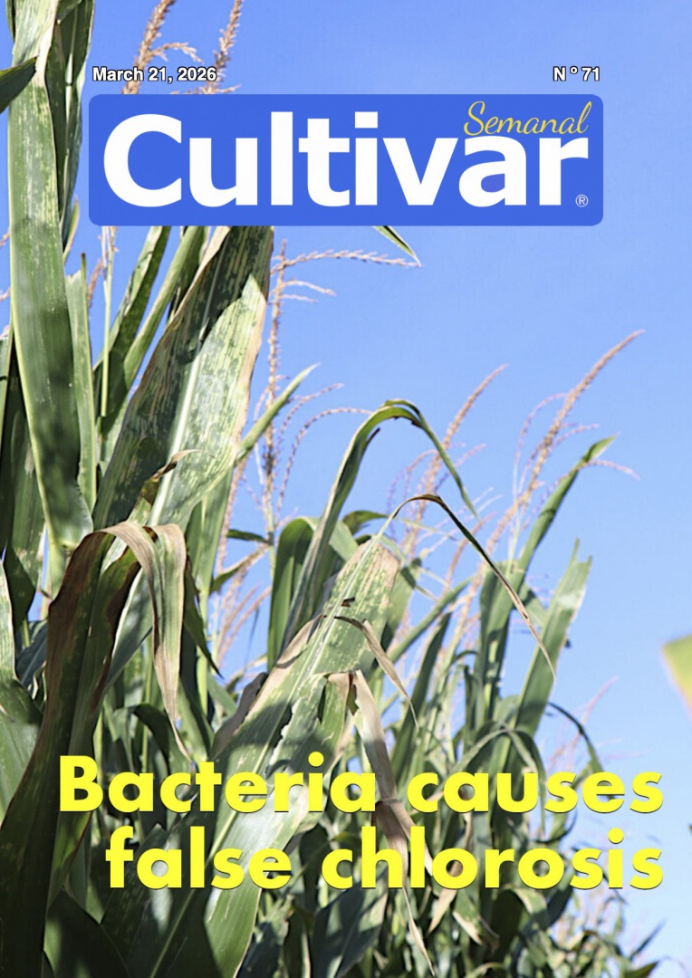 Cultivar Semanal 71