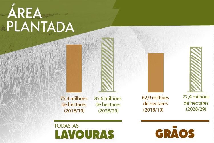 Em 10 anos, área plantada ampliará em 10,3 milhões de hectares no BR