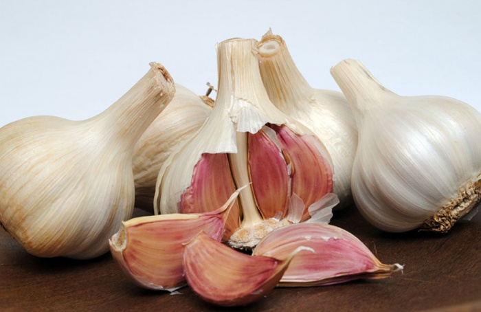 Cultura do alho ganha zoneamento de risco climático