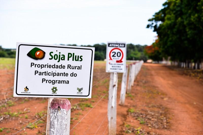 III Workshop de Planejamento do Soja Plus Brasil será em fevereiro