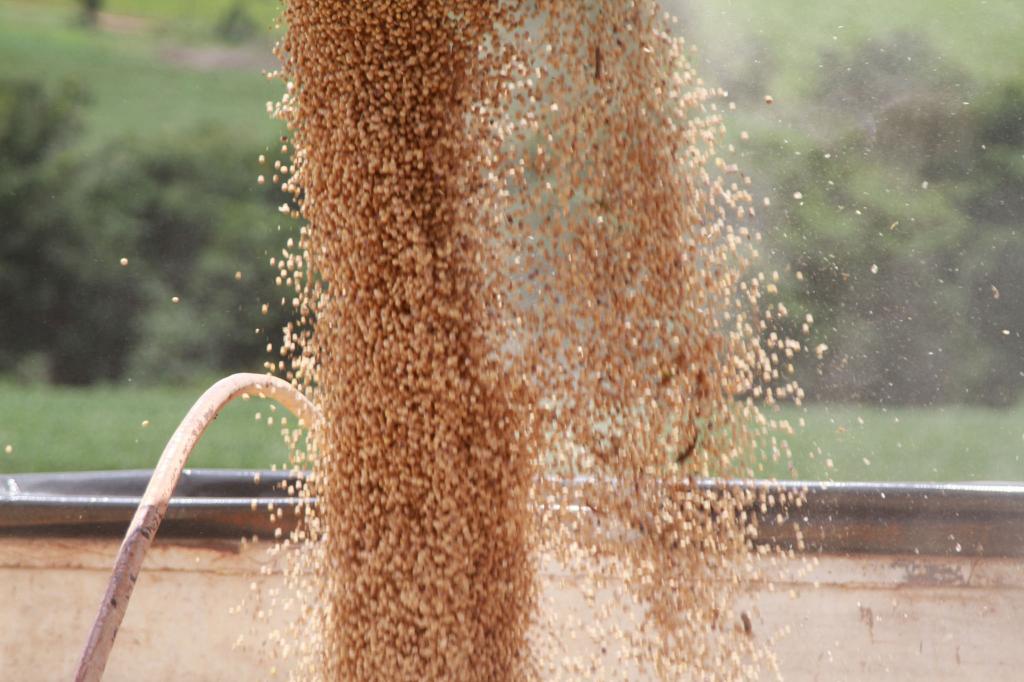 Preços da soja sobem no mercado brasileiro no mês de março