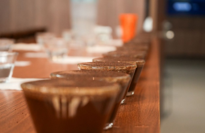 Cooxupé inicia ranking de cafés especiais da safra 2025