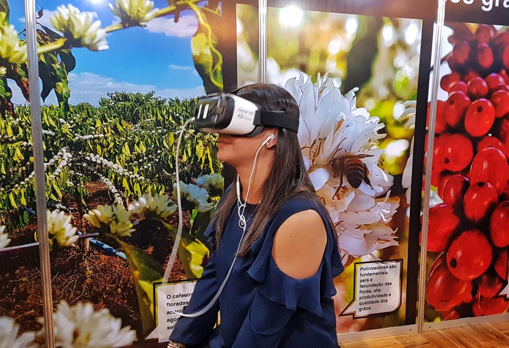 Embrapa Rondônia disponibiliza vídeos sobre o café em realidade virtual