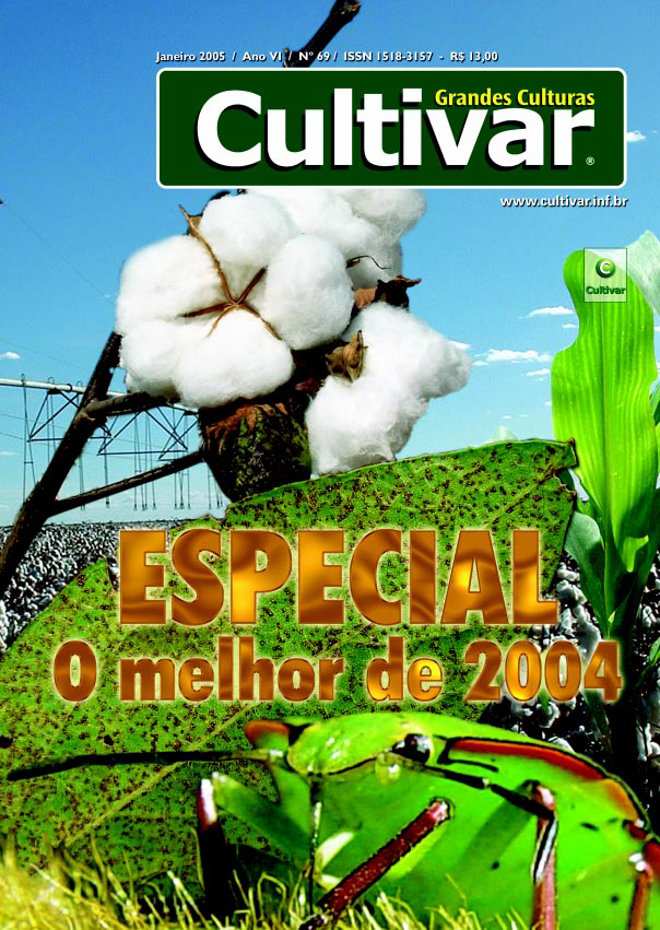 Especial: o melhor de 2004