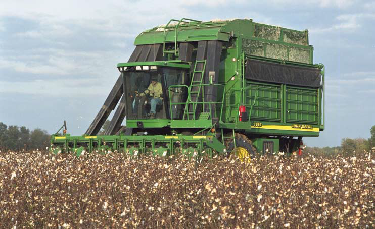 Necessidade de máquinas adaptadas para o cultivo de algodão adensado