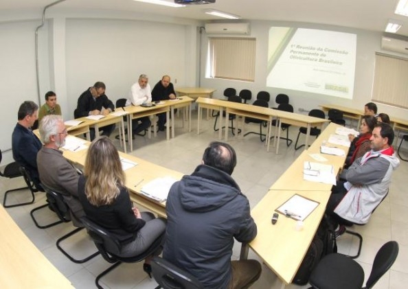 Primeira reunião da Comissão nacional da olivicultura é realizada em Pelotas
