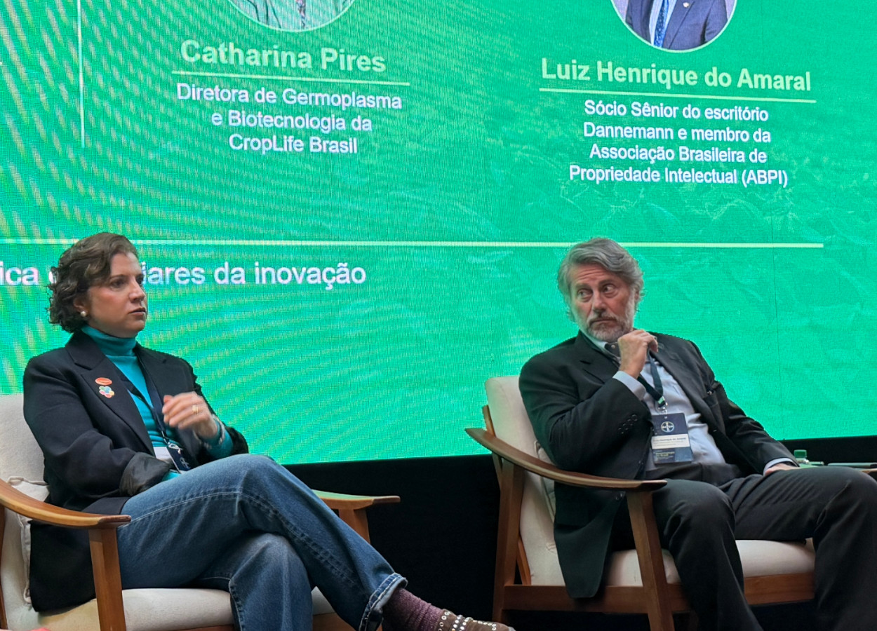 Chatarina Pires e Luiz Henrique do Amaral