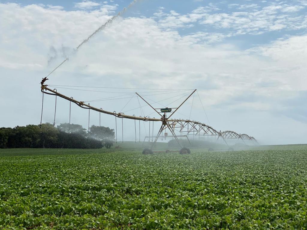 Produtor do RS aumenta produção com uso da irrigação
