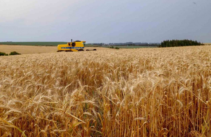 Primavera com La Niña: produtores precisam redobrar cuidados