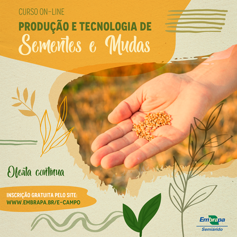 Embrapa lança curso online de produção e tecnologia de sementes e mudas