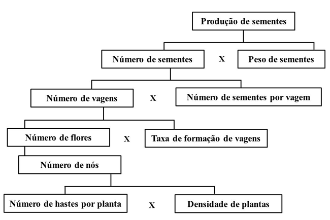 Figura 1. Componentes de produção da cultura de soja.