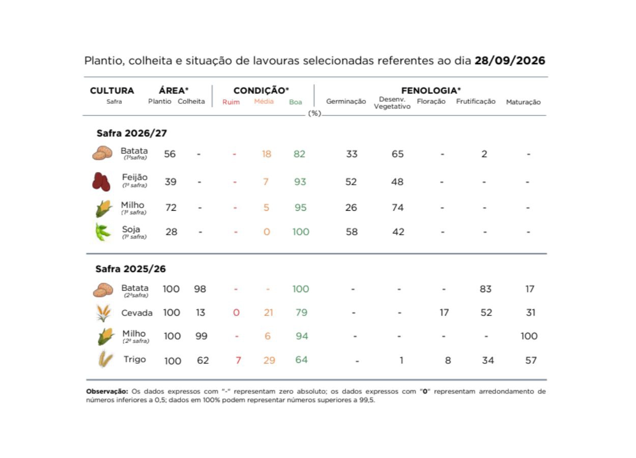 PR Safra 2026/27: plantio da soja ganha ritmo
