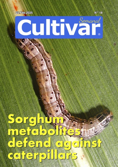 Cultivar Semanal 18
