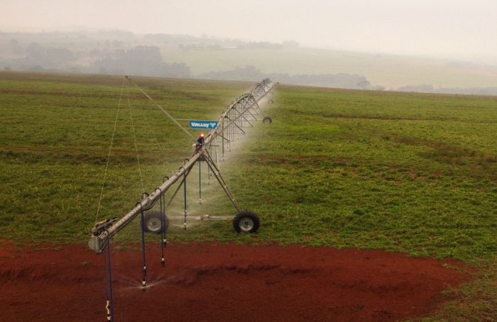 Paraná busca incrementar em 20% as áreas irrigadas com novo programa