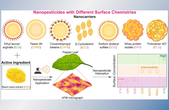 Nanotecnologia pode revolucionar uso de pesticidas na agricultura