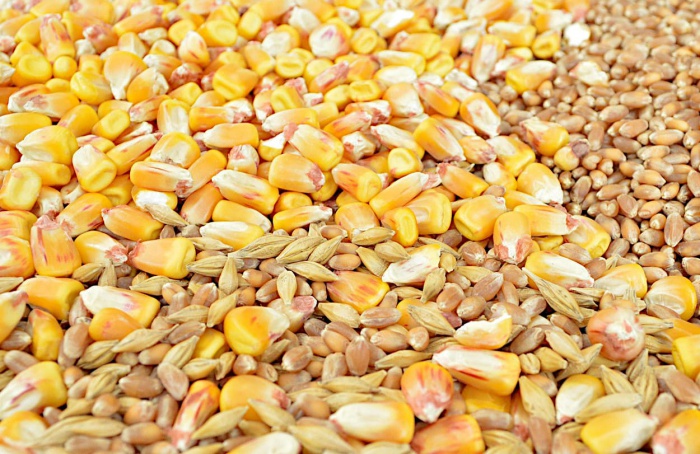 Instituições devem submeter metodologia para credenciamento em verificação agrícola