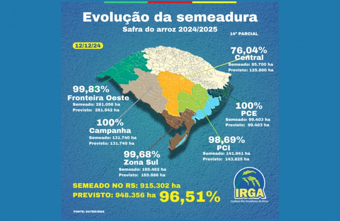 RS Safra 2024/25: plantio de arroz alcança 96,51% da área prevista