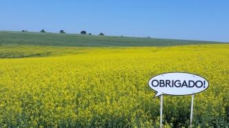 Adama parabeniza engenheiros agrônomos pelo seu dia com ação em diferentes estados do Brasil