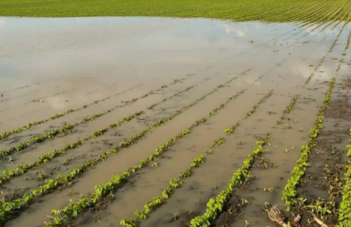 Governo federal libera R$ 20 milhões para o programa Recupera Rural RS