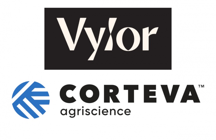 Corteva detalha acordos previstos na separação da Vylor