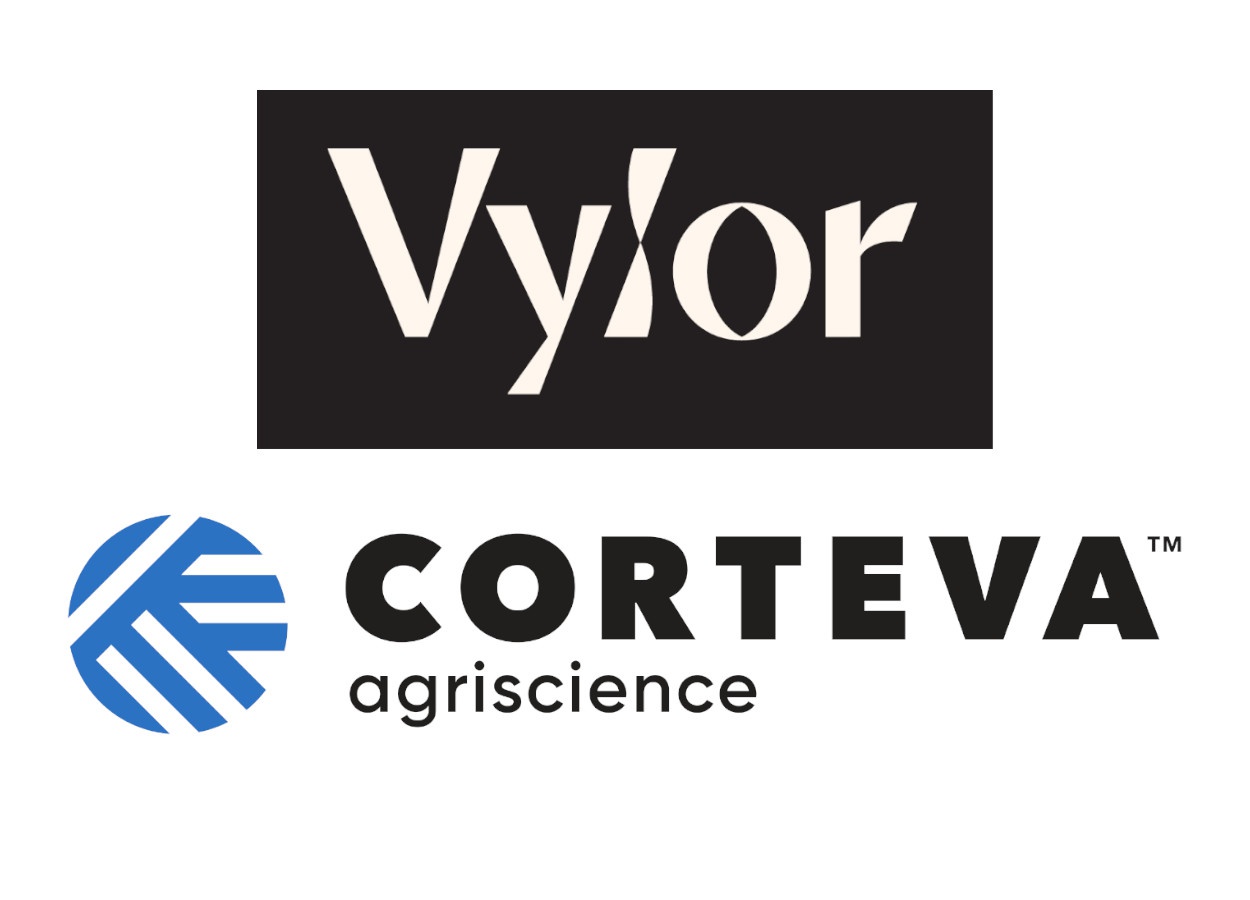 Corteva detalha acordos previstos na separação da Vylor