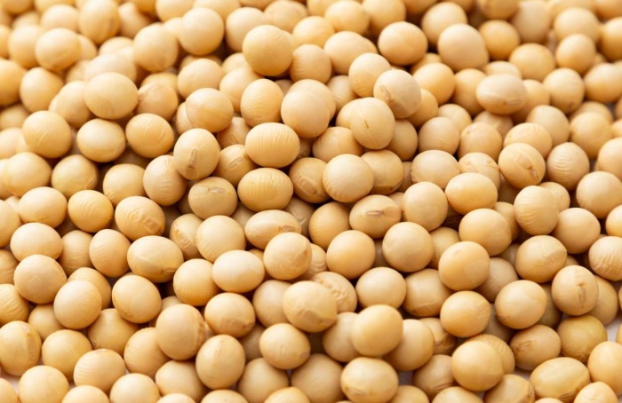 Esmagamento de soja deve bater recorde em 2026