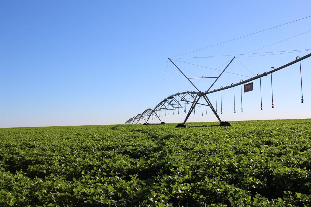 Lineu Neiva está entre os palestrantes do encontro “Diálogo: Irrigação e Sustentabilidade em Goiás”