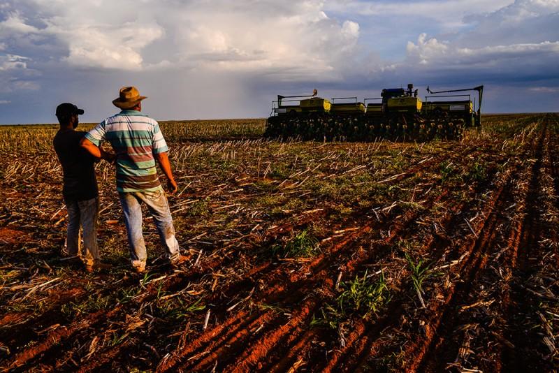 Soja responde por 24% de ICMS e Fethab no MT