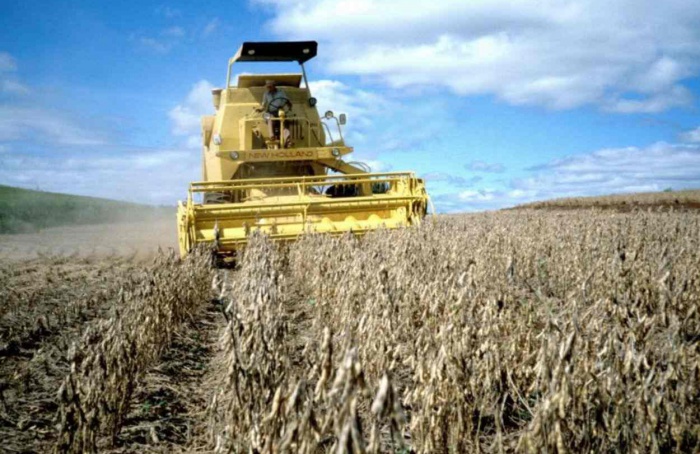 RS Safra 2025/26: chuvas atrasam colheita da soja